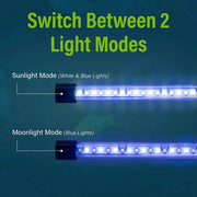Spectrum GloFish 6-Inch Blue and White LED Aquarium Light Stick for Up to 5 Gallon Tanks, Dual Light Modes, Clip-On AQ-78657