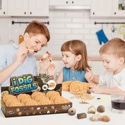 Byncceh Fossil Dig Kit Educational STEM Science Toy with 12 Real Fossils and Dinosaur Bones for Kids Ages 6+