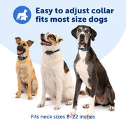 PetSafe Core Digital Dog Bark Collar, Waterproof, Tone Vibration Static Correction, Adjustable Nylon Strap for Small Medium Large Dogs 8 lb and Up PBC00-18184