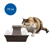 PetSafe PWW00-14440 Drinkwell Pagoda Pet Fountain