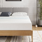 MLILY Essence Sleep 8