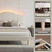 Pinmoco B702053H-BLTD Queen Upholstered Bed Frame with Adjustable Arc-shaped Headboard, LED Platform Bed, Teddy Velvet Black