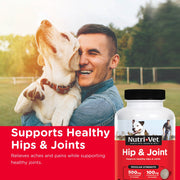 Nutri-Vet Hip & Joint Chewable Dog Supplements with Glucosamine, Chondroitin, MSM, Hyaluronic Acid, Liver Flavor, 180 Count