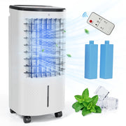 Fenbeli 3-in-1 Evaporative Portable Air Cooler with 4L Water Tank, Remote Control, 3 Fan Speeds, White, BL-206DL