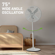 Holmes 16 Inch Oscillating Pedestal Fan, 3-Speed, Adjustable Height and Tilt, Brushed Chrome, 14545