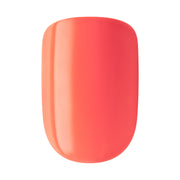 KISS IMC57 imPRESS Color Press On Nails, 'Prime Time', Orange, Short Squoval, 30 Count
