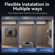 Ranein Electric Tankless Water Heater, 4.5 kW, 110V, Instant On-Demand, Under-Sink Point-of-Use Heater, LED Digital Display