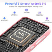 Oilsky M303 Pro MP3 MP4 Player, 80GB, 4in IPS Touchscreen, Bluetooth 5.0, WiFi, Speaker, FM Radio, Sound Recorder, Supports Up to 512GB Micro SD, Pink