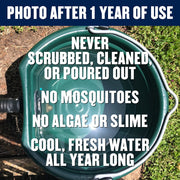 Chewy Cowboys Self-Cleaning Dog Waterer, 5-Gallon Plastic, Green, Extra Large, 85624253