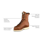 Irish Setter Wingshooter 9