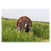 MOJO HW2513 Scoot N Shoot Turkey Decoy, 1 Piece