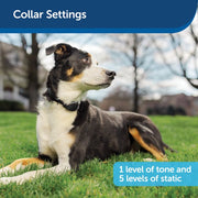 Radio Systems PIF00-15002 PetSafe Stay & Play Wireless Fence Battery Dog & Cat Collar Waterproof