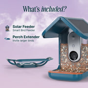 Bird Buddy Smart Bird Feeder with AI Bird Identification, Solar Powered, Weatherproof, HD Video, Blue Perch Extender BBS4052RAA