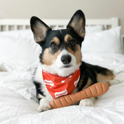 Nylabone Power Chew Baguette Dog Toy, Dog Chew Toy, Roast Chicken Flavor, Large, 1 Count