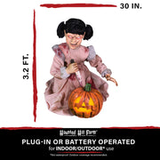 Haunted Hill Farm HHPMPCVR-FLSA 38