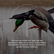 Avian-X AVXDP101 PowerFlight Mallard Drake Motorized Duck Decoy with Remote