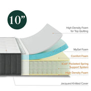 Allswell AW23-MSH-10-01 10