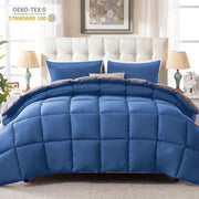 WhatsBedding WG-LDSET-BGF Full Size Comforter Set, 3-Piece, Full, Blue/Gray
