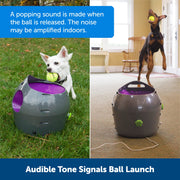 PetSafe Automatic Ball Launcher Dog Toy, Adjustable Distance and Angle, Water-Resistant, Includes 2 Tennis Balls, PTY00-14665