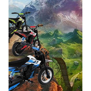 RCB RCB-RX9-3 R9X Electric Dirt Bike, 36V-300W-10Miles, Green