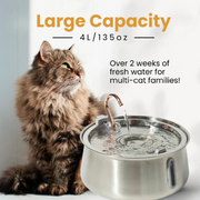 The KittySpout 2.0 - Health & Happiness Cat Kit - 2 Month: KittySpout + 4 filter sets + AC adapter