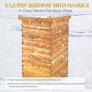 Jacgood 5 Box Bee Box for Beekeeping with 2 Deep Brood Boxes and 3 Medium Super Boxes