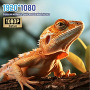 ANMESC 120