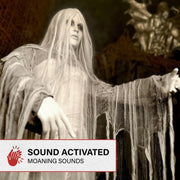 Haunted Hill Farm HHRISEGHSTWM-1FLSA 31