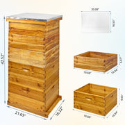 Jacgood 5 Box Bee Box for Beekeeping with 2 Deep Brood Boxes and 3 Medium Super Boxes