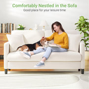 Neche GESC004 Loveseat Sofa, 65