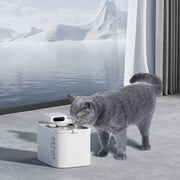 Petkit Eversweet Cordless Max Smart Pet Drinking Fountain