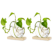 Glasseam Set of 2 Plant Propagation Station Vase: Cute Glass Terrarium Jars Modern Hydroponic Planters
