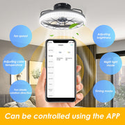 Jinyi 20in Small Caged Ceiling Fan with LED Light, Remote and App Control, Flush Mount Low Profile, 5 Enclosed Blades, 6 Wind Speeds
