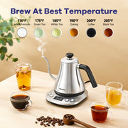 Mecity LCD Display 1200W Quick Heating Electric Kettle, Silver - BPA Free Plastic