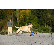 Chuckit! Kick Fetch Natural Rubber Dog Toy Ball, Large