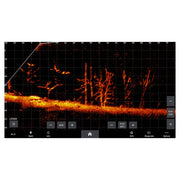 Garmin LiveScope Plus LVS34 - Livescope + LVS34 System
