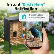 Birdfy Smart Bird Feeder with 1080p HD Camera, AI Bird Detection, Solar Power, Bamboo, 3.5L Dual-Compartment NIWM-4358