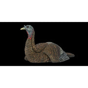Avian X AVX8011 LCD Laydown Hen Turkey Decoy