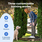 PetSafe Basic Dog Trainer with Remote