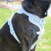Vibrant Life Neoprene Comfort Control Monochrome Harness, Gray, Small
