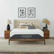 Cole & Rye SM1433-T Spirit 12