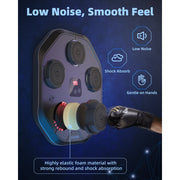 Anpro Home Workout Boxing Target Machine Kit with 9 Modes/Speed