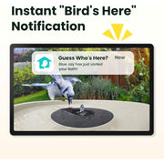 Birdfy Smart Bird Bath Fountain with Dual-Lens Camera, Solar-Powered, AI Bird Identification, IP66 Waterproof, Elevated Pole Stand, WMTNI-1226