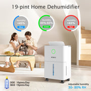 KNKA Pro 19 Pint Dehumidifier, 2,500 Sq.Ft Coverage, Smart LCD Humidity Control, Dual Drainage, Energy Efficient