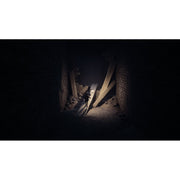 THQ Nordic REANIMAL Horror Adventure Video Game for PlayStation 5, Single Player and Co-op, 94894787