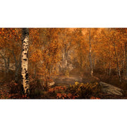Microsoft, Skyrim Special Edition (Xbox One)