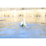 MOJO Outdoors Hw2554 Dabbler Motorized Feeding Duck Decoy