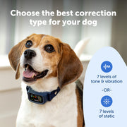 PetSafe Core Digital Dog Bark Collar, Waterproof, Tone Vibration Static Correction, Adjustable Nylon Strap for Small Medium Large Dogs 8 lb and Up PBC00-18184