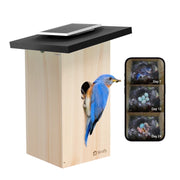 Birdfy Smart Bird Houses for Outside Solar Powered