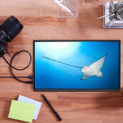 Acer Portable Monitor PM161Q C1bmiuux, 15.6 in IPS Full HD 1920 x 1080, 60Hz, USB Type-C and HDMI, Black